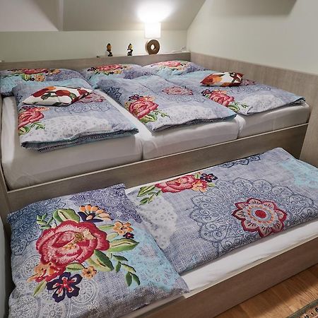 Apartman U Vleku Javor 派克波特斯耐兹库 外观 照片